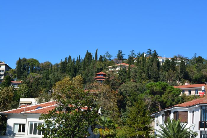 image-.jpg