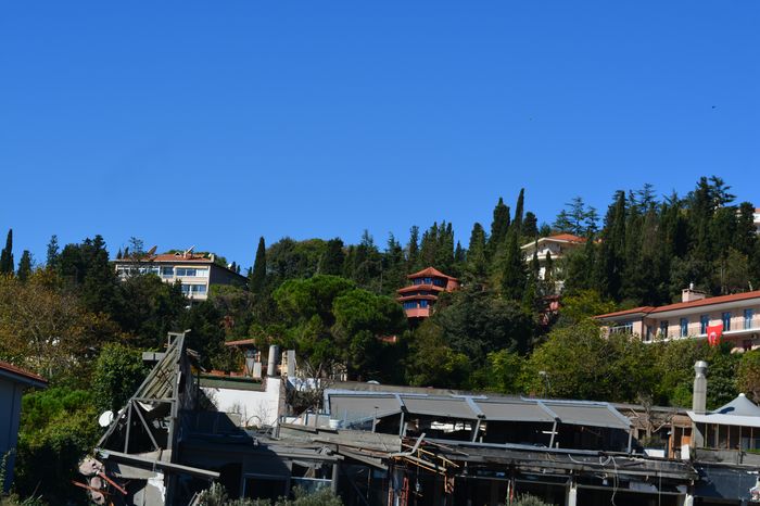 image-.jpg