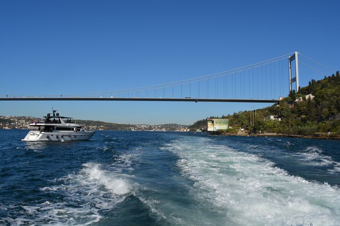 Folly progressed to an indescribable extent