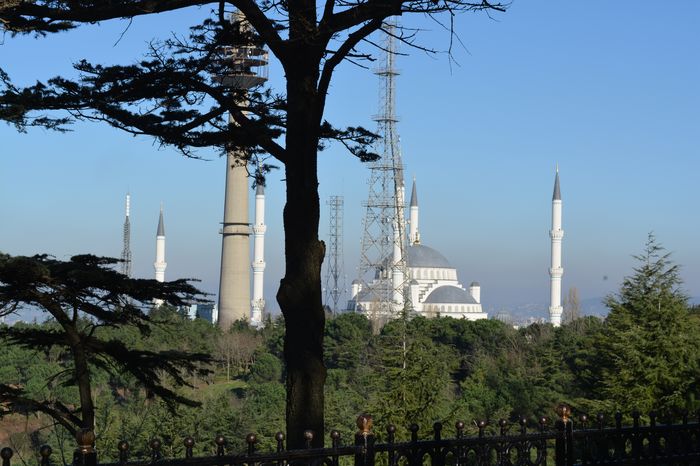 image-.jpg