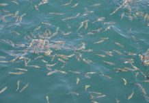 Preservation of Sacred Relics