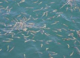 Preservation of Sacred Relics