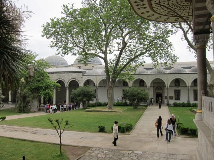 image-.jpg