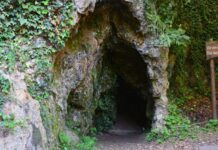 Life of the Sultanas