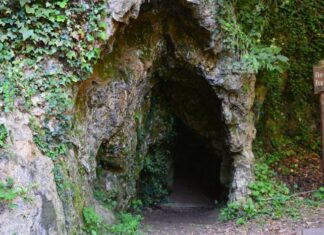 Life of the Sultanas