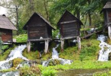 European Influence in the Ottoman Imperial Harem