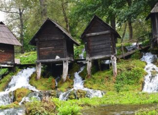 European Influence in the Ottoman Imperial Harem