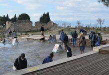 Organization of Care