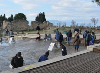 Organization of Care